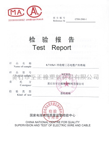 檢驗(yàn)報(bào)告